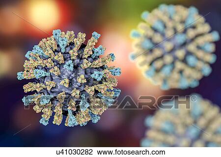 Stock Image - Measles virus, illustration. Fotosearch