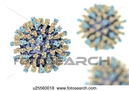 Stock Photo - Measles virus, illustration. Fotosearch