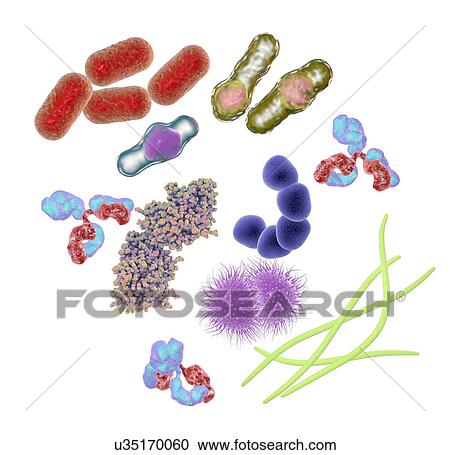 Stock Image - Microbes and molecules, illustration. Fotosearch
