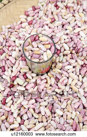 Mixed fresh beans in market View Large Photo Image Stock Image - Mixed fresh beans in market. Fotosearch