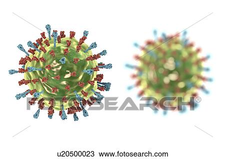 Stock Image - Mumps virus, illustration. Fotosearch
