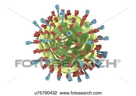 Mumps virus, illustration View Large Photo Image Stock Image - Mumps virus, illustration. Fotosearch