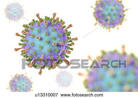 Stock Photo - Mumps virus, illustration. Fotosearch