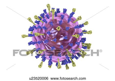 Stock Photograph - Mumps virus, illustration. Fotosearch
