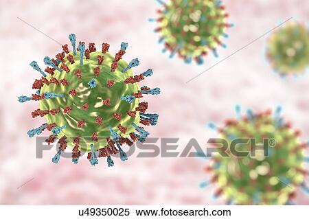 Mumps virus, illustration View Large Photo Image Stock Photography - Mumps virus, illustration. Fotosearch