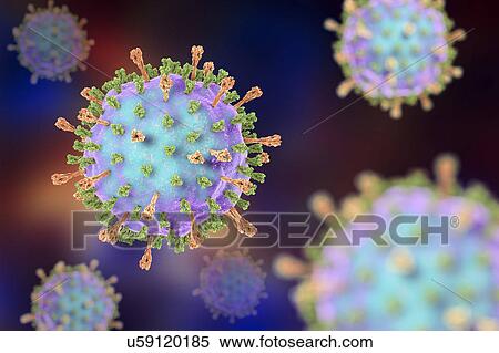 Mumps virus, illustration View Large Photo Image Stock Photography - Mumps virus, illustration. Fotosearch