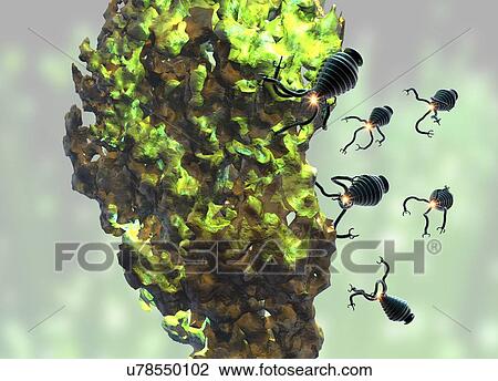Stock Image - Nanobots attacking cancer cell, illustration. Fotosearch