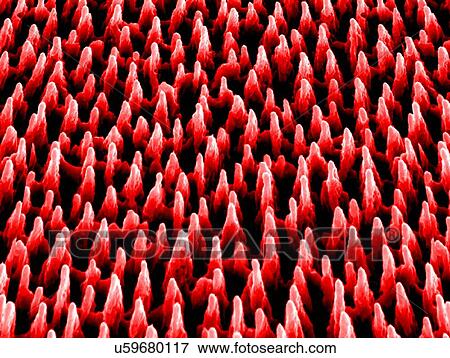 Stock Photo - Nanostructures on silicon, SEM. Fotosearch