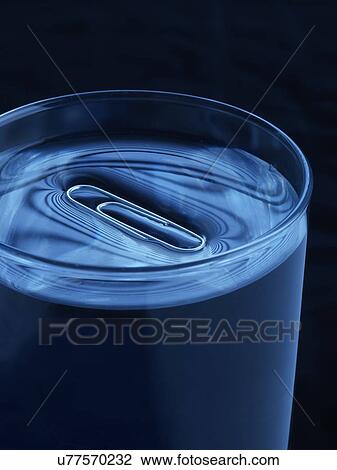 Paperclip floating on water View Large Photo Image Stock Image - Paperclip floating on water. Fotosearch