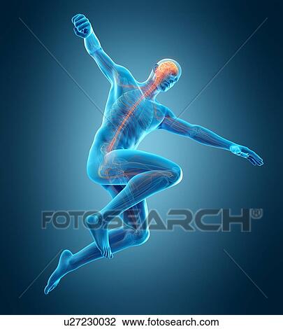 Stock Image - Person jumping, illustration. Fotosearch
