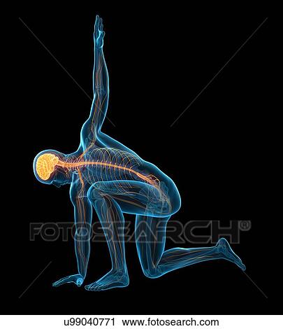 Stock Image - Person kneeling with arm raised, illustration. Fotosearch