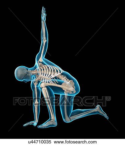 Person kneeling with arm raised, illustration View Large Photo Image Stock Photography - Person kneeling with arm raised, illustration. Fotosearch