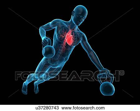 Stock Image - Person lifting kettle bell, illustration. Fotosearch