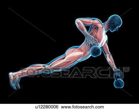 Person lifting kettle bell, illustration View Large Photo Image Stock Photograph - Person lifting kettle bell, illustration. Fotosearch