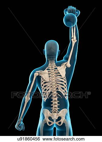 Stock Photograph - Person lifting kettle bell, illustration. Fotosearch