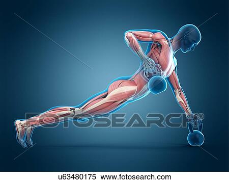 Person lifting kettle bell, illustration View Large Photo Image Stock Photography - Person lifting kettle bell, illustration. Fotosearch