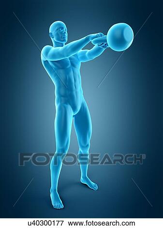 Stock Photo - Person swinging kettle bell, illustration. Fotosearch