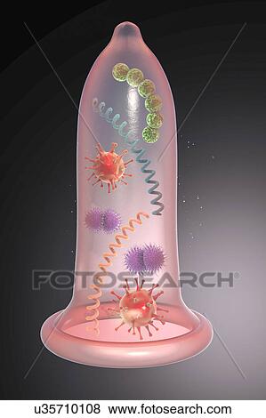 Stock Photo - Prevention of sexually transmitted infections, conceptual il. Fotosearch