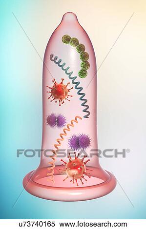 Prevention of sexually transmitted infections, conceptual il View Large Photo Image Stock Photography - Prevention of sexually transmitted infections, conceptual il. Fotosearch
