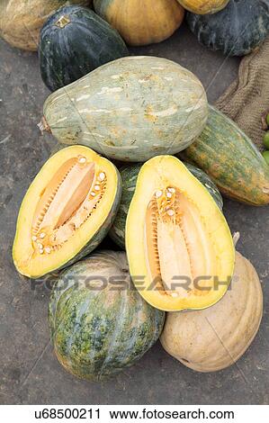 Stock Image - Pumpkins in market. Fotosearch