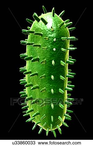 Stock Image - Rabies virus, illustration. Fotosearch