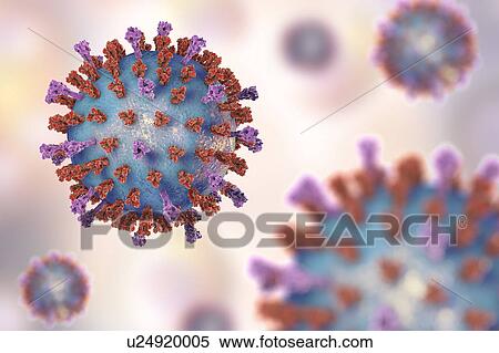 Respiratory syncytial virus, illustration View Large Photo Image Stock Photography - Respiratory syncytial virus, illustration. Fotosearch