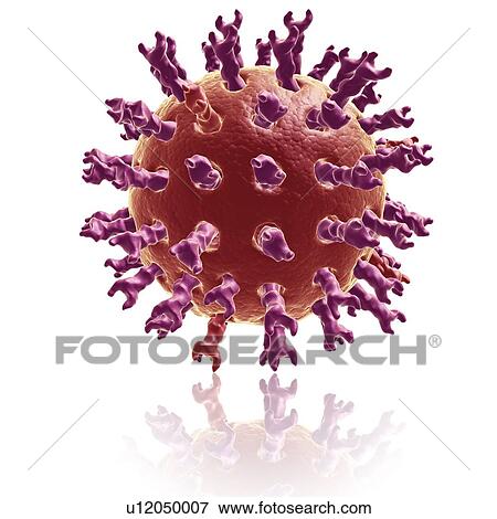 Rotavirus, illustration View Large Photo Image Stock Photo - Rotavirus, illustration. Fotosearch