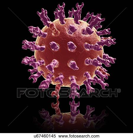 Stock Photography - Rotavirus, illustration. Fotosearch