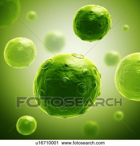Rotavirus virus particles, illustration View Large Photo Image Stock Image - Rotavirus virus particles, illustration. Fotosearch