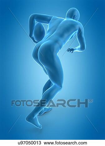 Rugby player, illustration View Large Photo Image Stock Image - Rugby player, illustration. Fotosearch