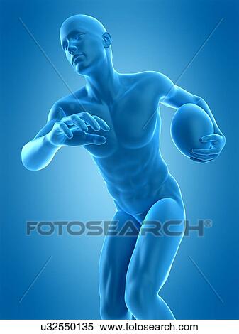 Stock Photography - Rugby player, illustration. Fotosearch
