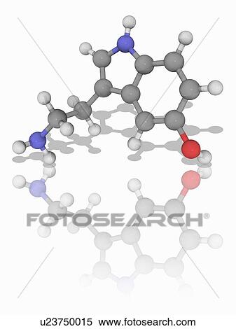 Stock Photography - Serotinin organic compound molecule. Fotosearch