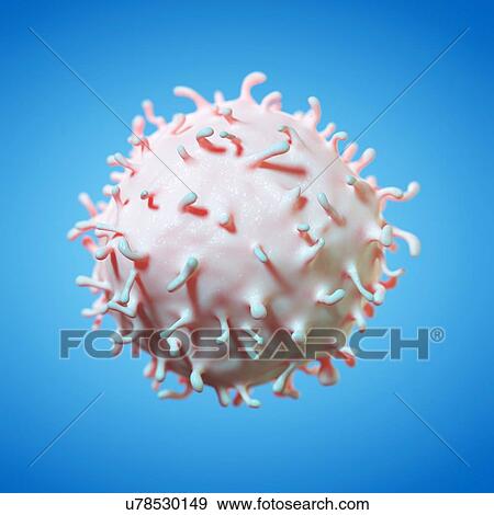 Stock Photo - Stem cell, illustration. Fotosearch