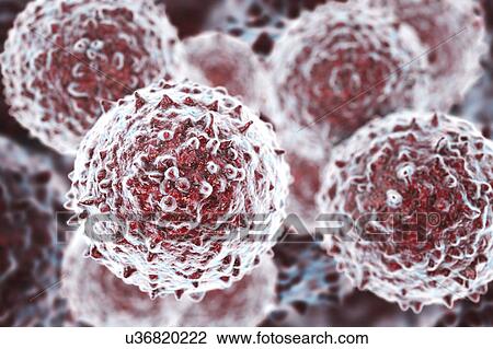 Stock Image - Stem cells, illustration. Fotosearch