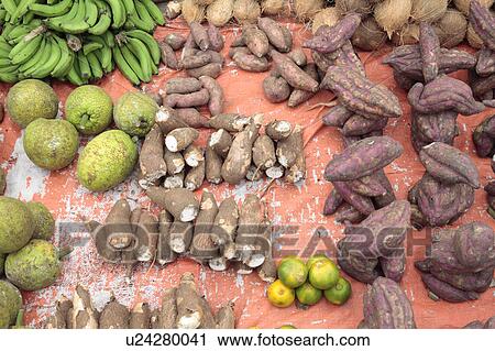 Taro, breadfruit and sweet potato in market View Large Photo Image Stock Image - Taro, breadfruit and sweet potato in market. Fotosearch