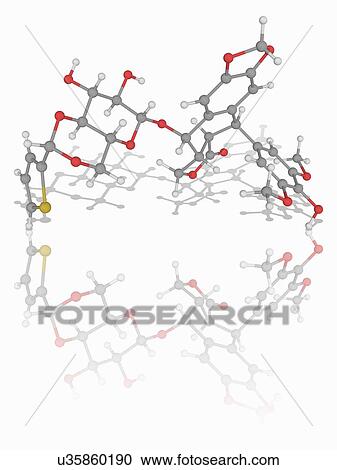 Teniposide drug molecule View Large Photo Image Stock Image - Teniposide drug molecule. Fotosearch