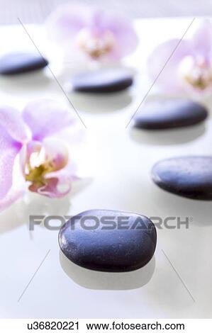 Stock Image - Therapeutic stones and orchids. Fotosearch
