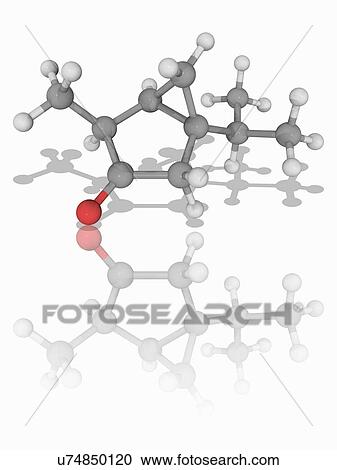 Stock Image - Thujone organic compound molecule. Fotosearch