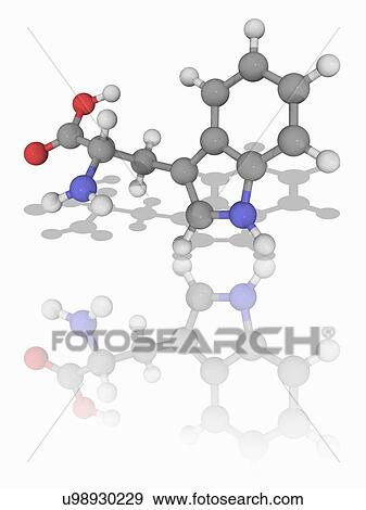 Stock Photo - Tryptophan organic compound molecule. Fotosearch