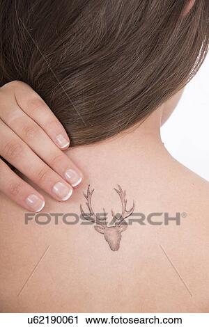 Young woman with tattoo of stag on back View Large Photo Image Stock Image - Young woman with tattoo of stag on back. Fotosearch