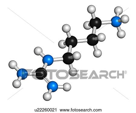 Stock Image - Agmatine molecule, illustration. Fotosearch