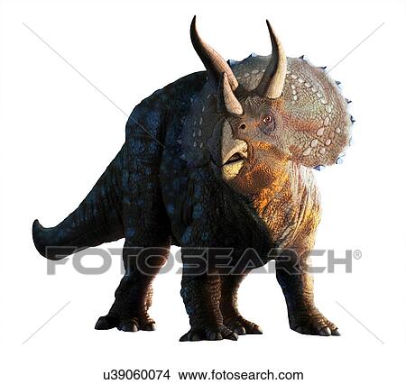 Picture - Artwork of a triceratops. Fotosearch