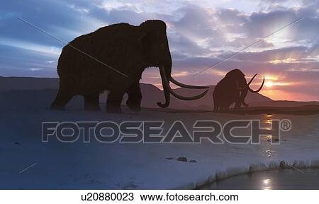 Stock Image - Artwork of the Tundra Mammoth. Fotosearch