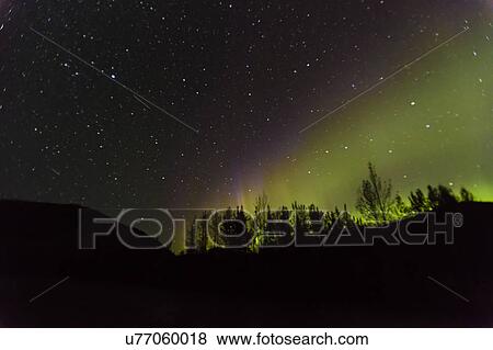 Aurora Borealis, Kantishna, Alaska View Large Photo Image Stock Photo - Aurora Borealis, Kantishna, Alaska. Fotosearch