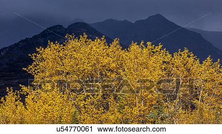 Stock Image - Autumn color and foreboding Mountains in distance are seen off Richardson Highway, Route 4, North of Paxon, Alaska. Fotosearch