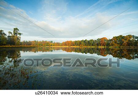 Picture - Autumn in woods, Breda, Netherlands. Fotosearch