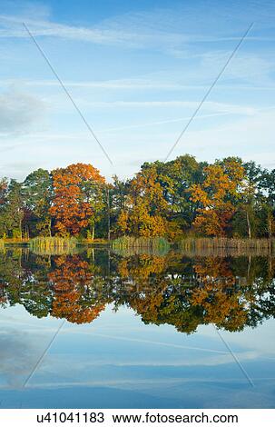 Autumn in woods, Breda, Netherlands View Large Photo Image Stock Image - Autumn in woods, Breda, Netherlands. Fotosearch