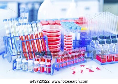 Stock Image - Biological samples in test tubes and petri dishes. Fotosearch
