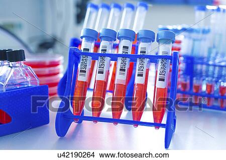 Picture - Biological samples in test tubes. Fotosearch