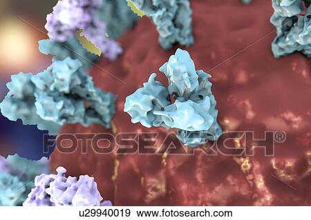 Stock Photo - Bird flu virus, illustration. Fotosearch